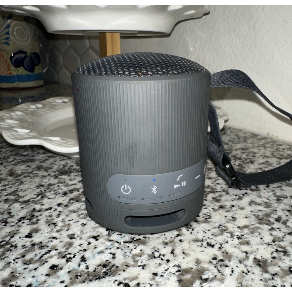 Sony SRS-XB100 Portable Bluetooth Wireless Speaker Gray YY7856E